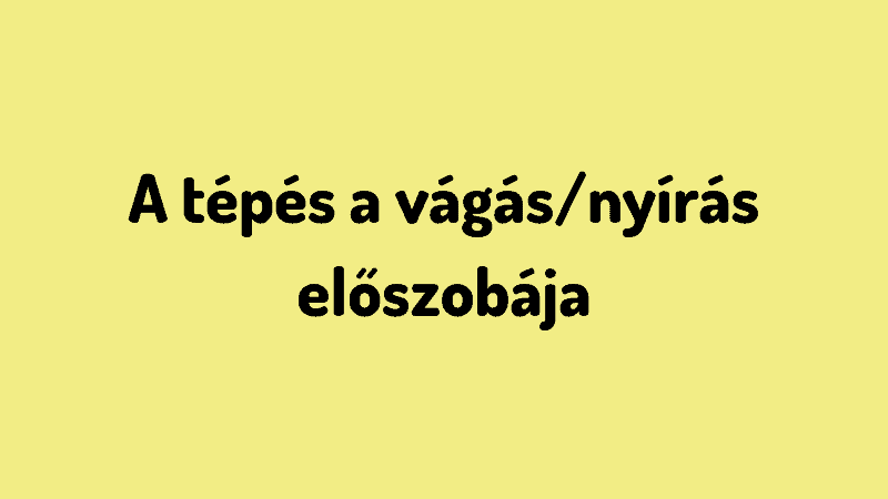 Mit-varhatsz-el-1-4-eves-gyermekedtol-9.png