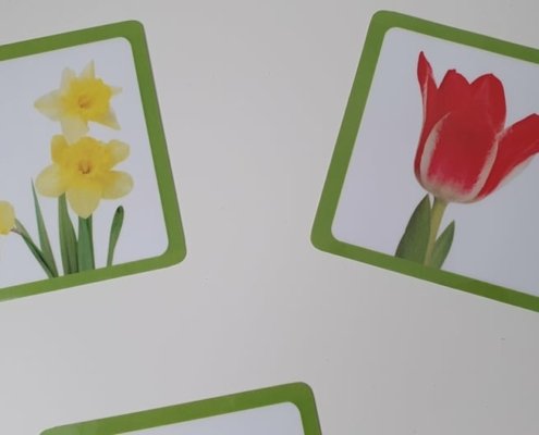 274819055_670814394040528_2618817242845032717_n