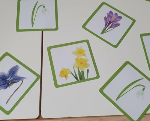 274995448_439748274507824_5242702600653565418_n