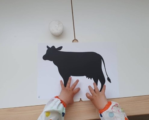 286850287_427618888956740_1561745050327724440_n