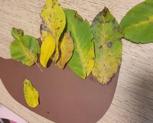 310745459_1127909744785175_5947676789383666563_n