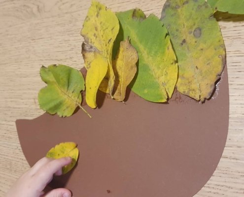 311072688_422735423308206_2894462832746883141_n