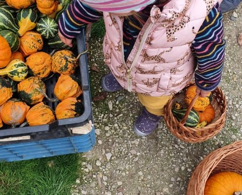 313355966_1685825691872455_2306313165724142458_n