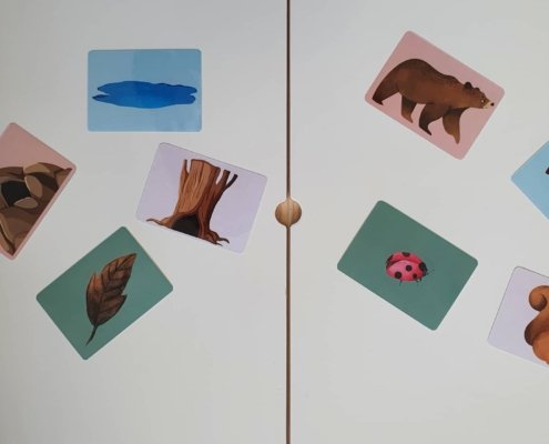 316127678_886363712740789_3632656004785244914_n (1)