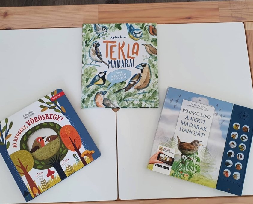 316477281_1908684806005403_3596907662976832642_n